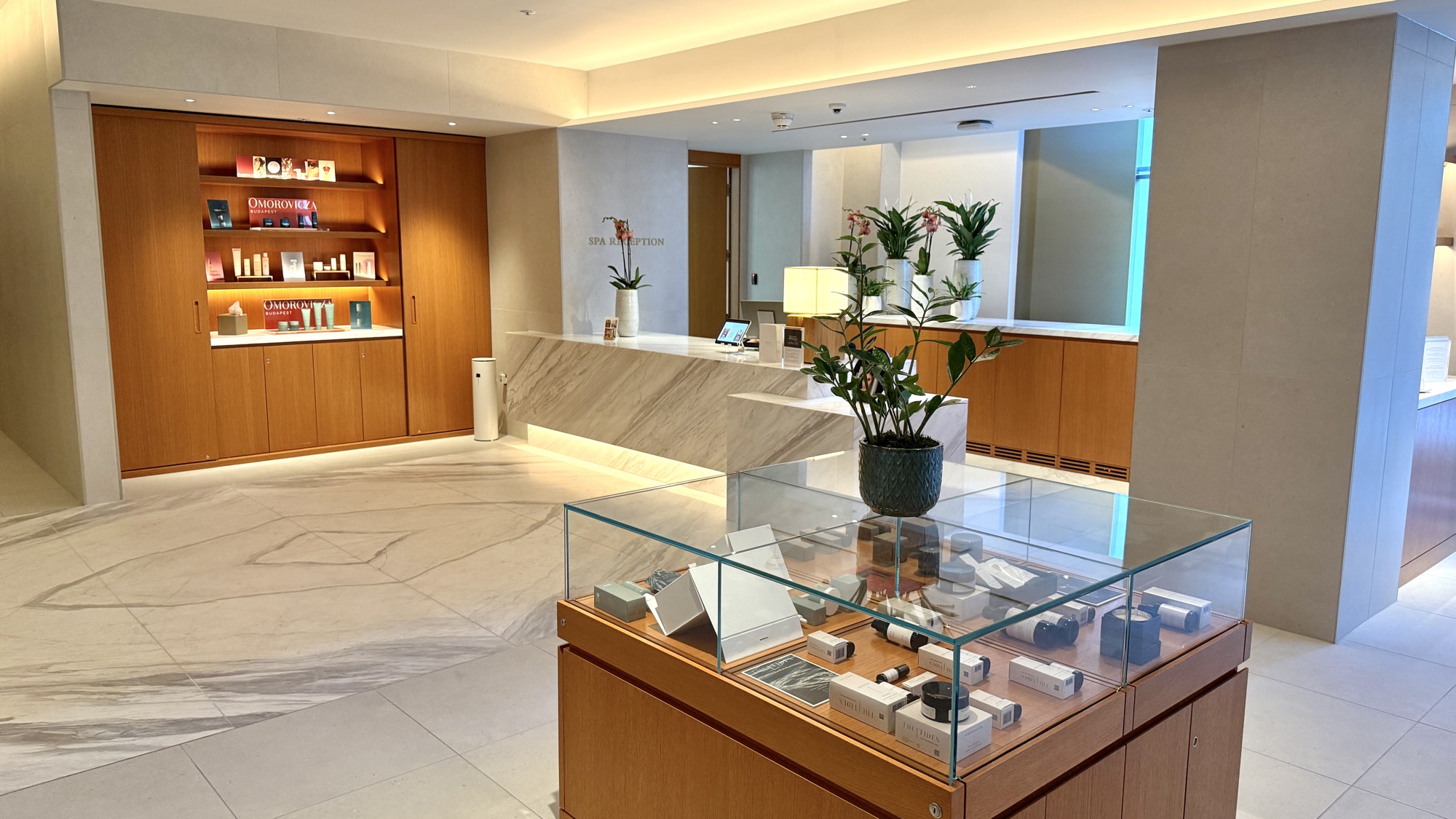 伦敦泰晤士河柏悦酒店实测：温网期间闹中取静的积分兑换之选