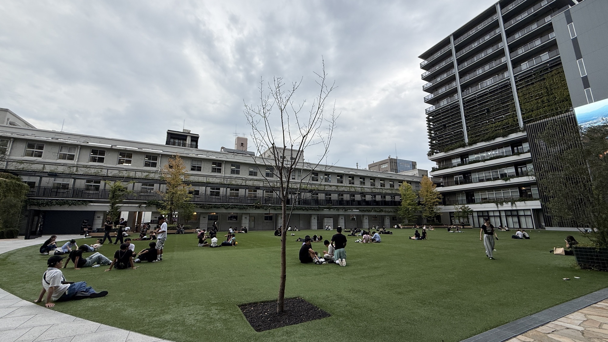 住进福冈的天空:丽思卡尔顿福冈三晚实测,行政酒廊、博多风味与天神夜景全记录